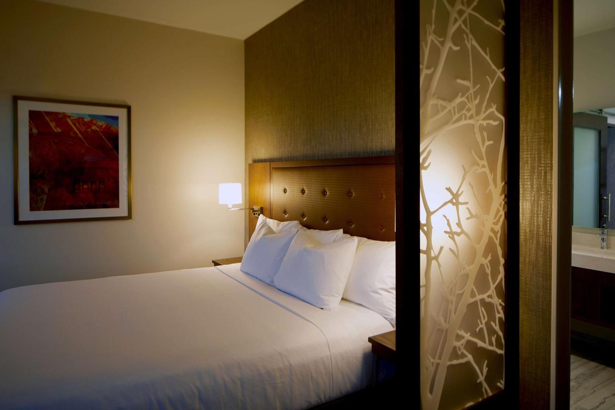 King Suite Accessible Shower Disability Access