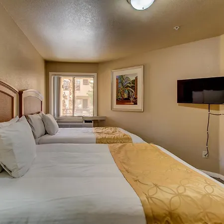 The Rita Suites-3