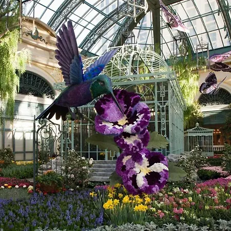 Bellagio By Suiteness-3